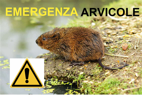 Emergenza arvicole